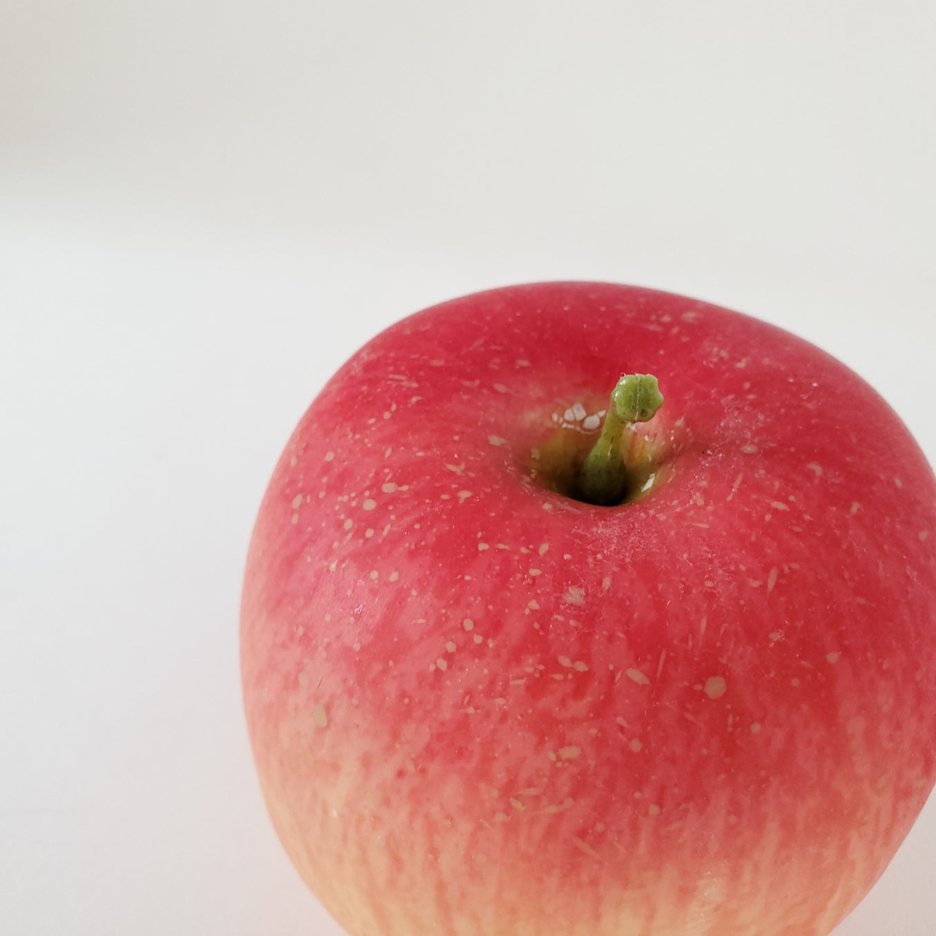 お供え 果物 りんご 林檎